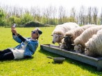 Selfie with the sheep Selfie with the sheep